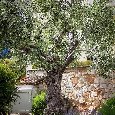 Studio In Porec/istrien 10251